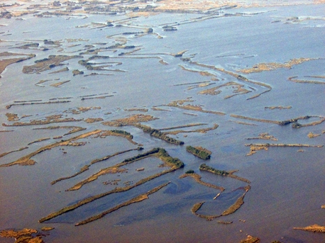 Louisiana wetlands under siege by the Gulf, photo by Kelly Wagner, courtesy of National Wildlife Federation